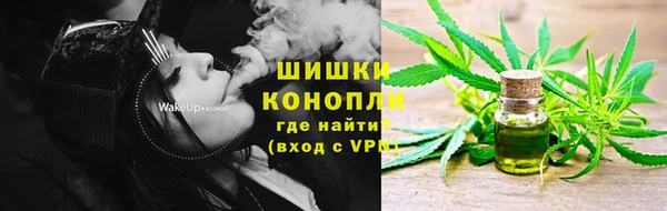 PSILOCYBIN Балабаново