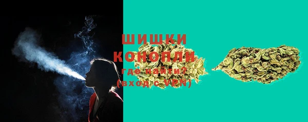 PSILOCYBIN Балабаново